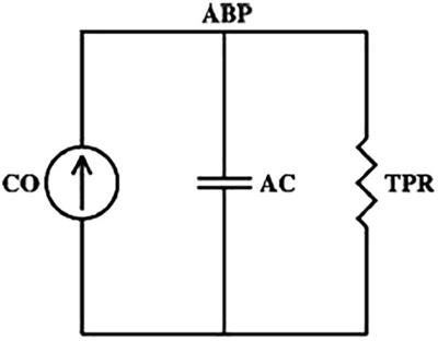 Vascular Decoupling in Septic Shock: The Combined Role of Autonomic Nervous System, Arterial Stiffness, and Peripheral Vascular Tone